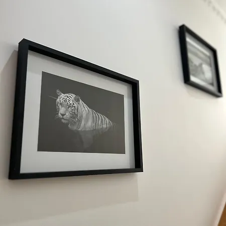 Matteo Holidays Manfredonia